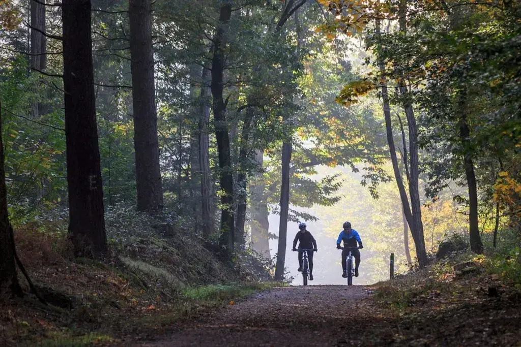 Mountain bike tracks in the forests near Nijmegen (15 km)