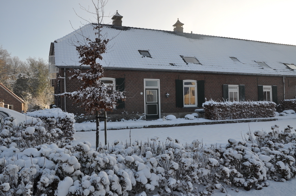 Front view in snowy winter (2018)