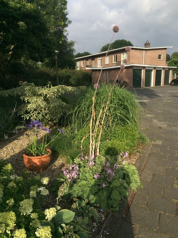 View from the front garden