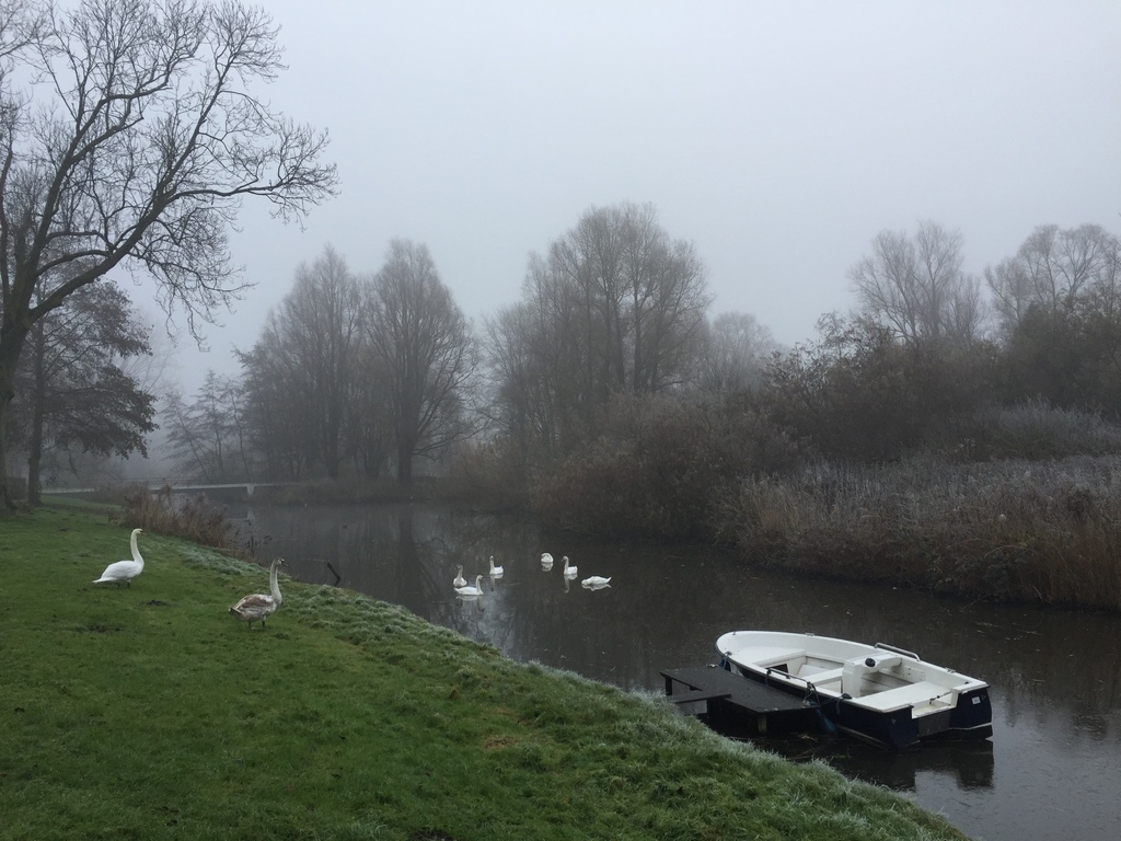 Our boat mored behind the house