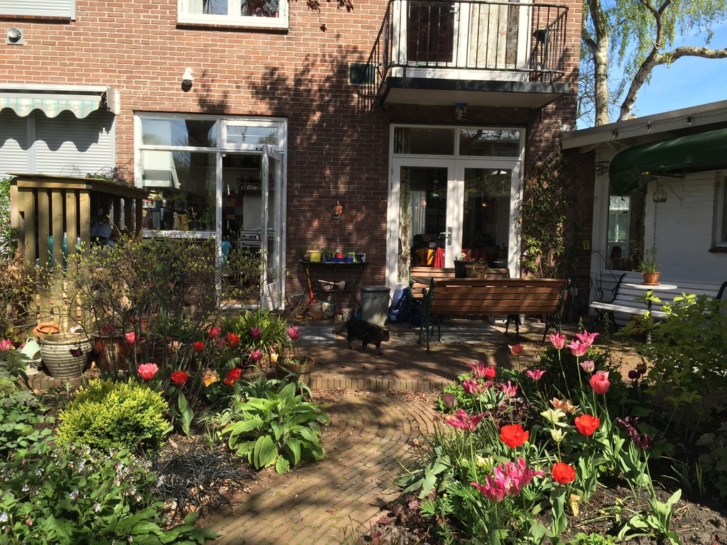 Springtime in Amsterdam