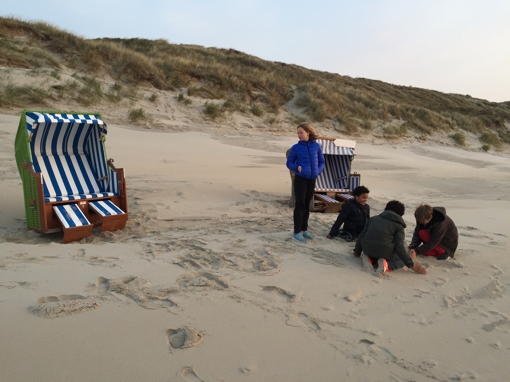 Wadden Islands, Vlieland