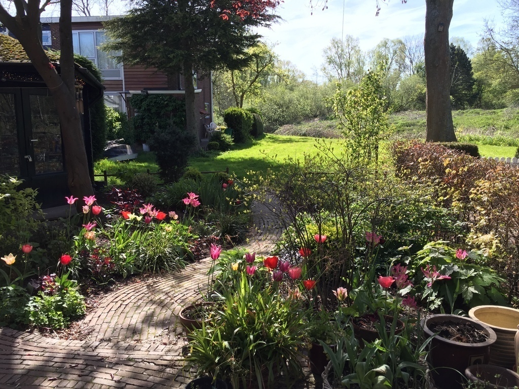 Springtime from backgarden