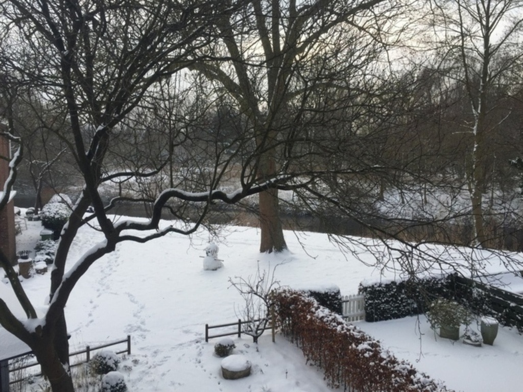 Wintertime
