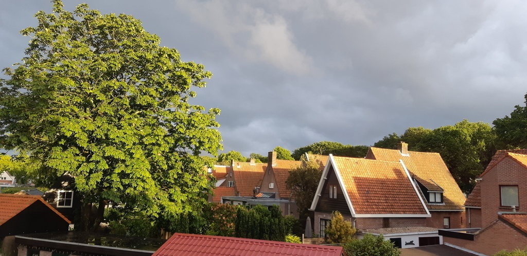 View from our back window.