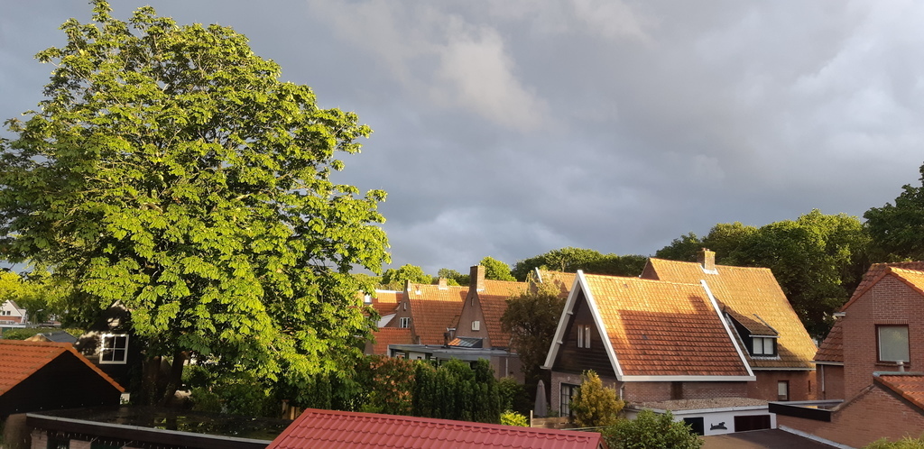 View from our back window.