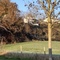 Aangrenzend natuurgebied