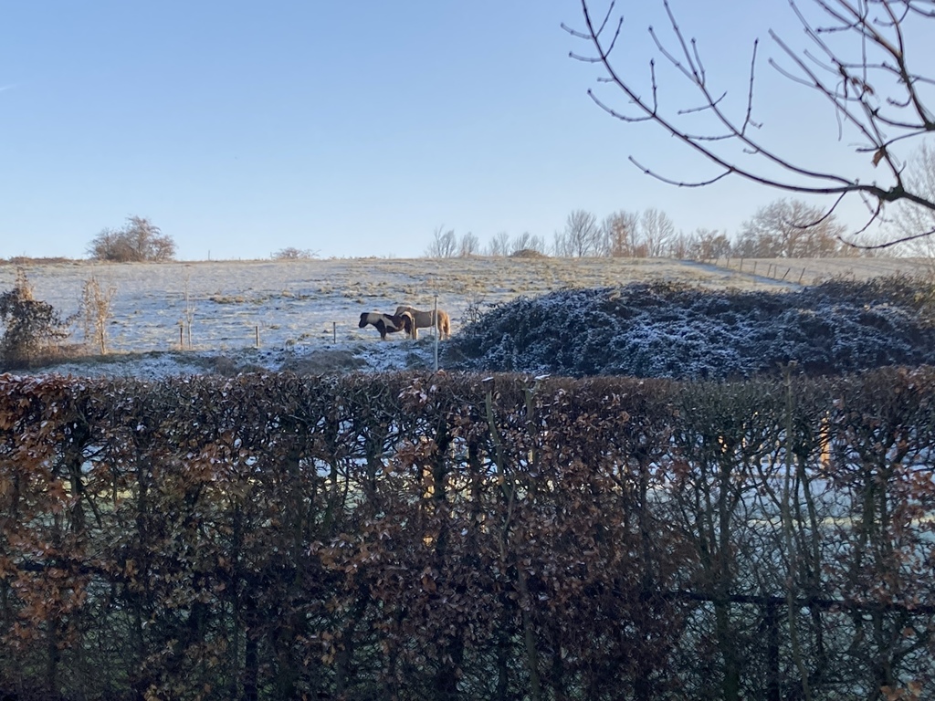 Aangrenzend natuurgebied St. Pietersberg