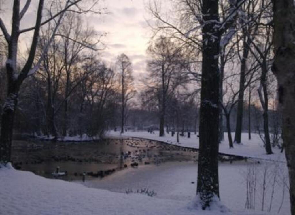 The beautiful Oosterpark is only 3 minutes away.