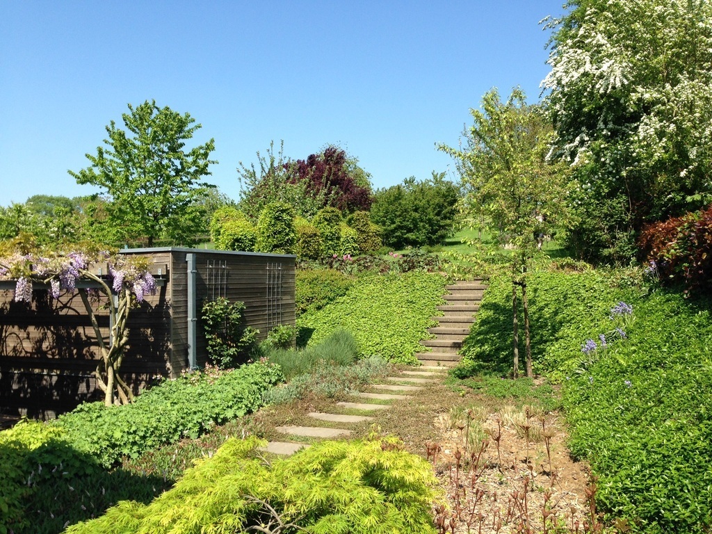 Uitzicht op tuin vanaf huis