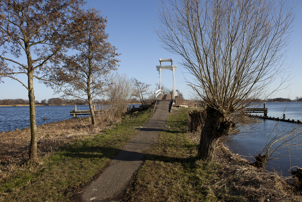 the lake in Nieuwkoop