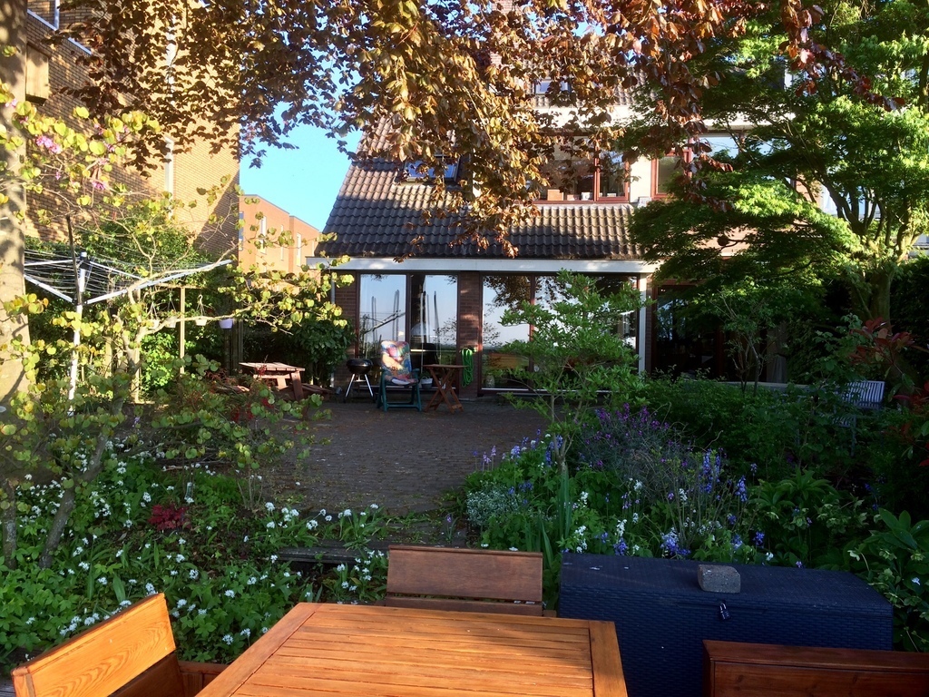 view from the back of the house/terrace