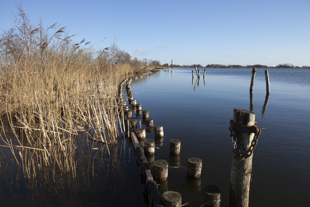the lake in Nieuwkoop