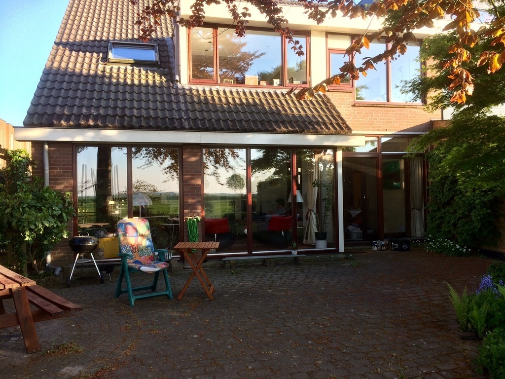 view from the back of the house