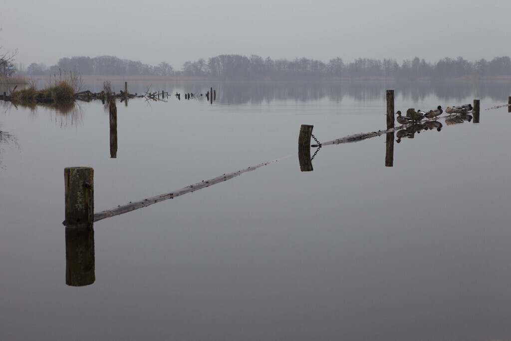 the lake in Nieuwkoop