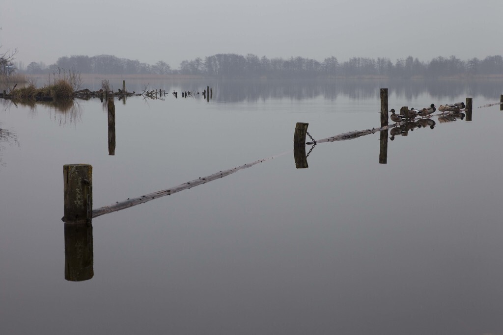 the lake in Nieuwkoop