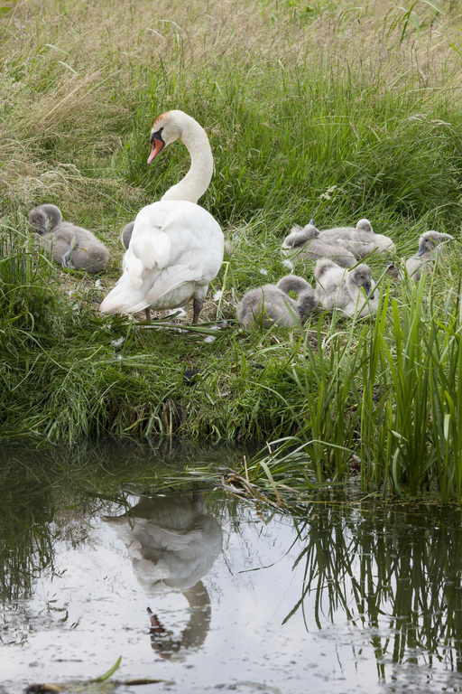 frequent view from the pier
