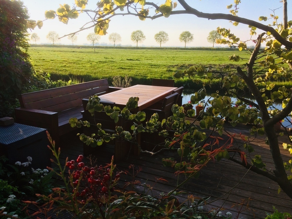 view from the pier in the evening wonderful
