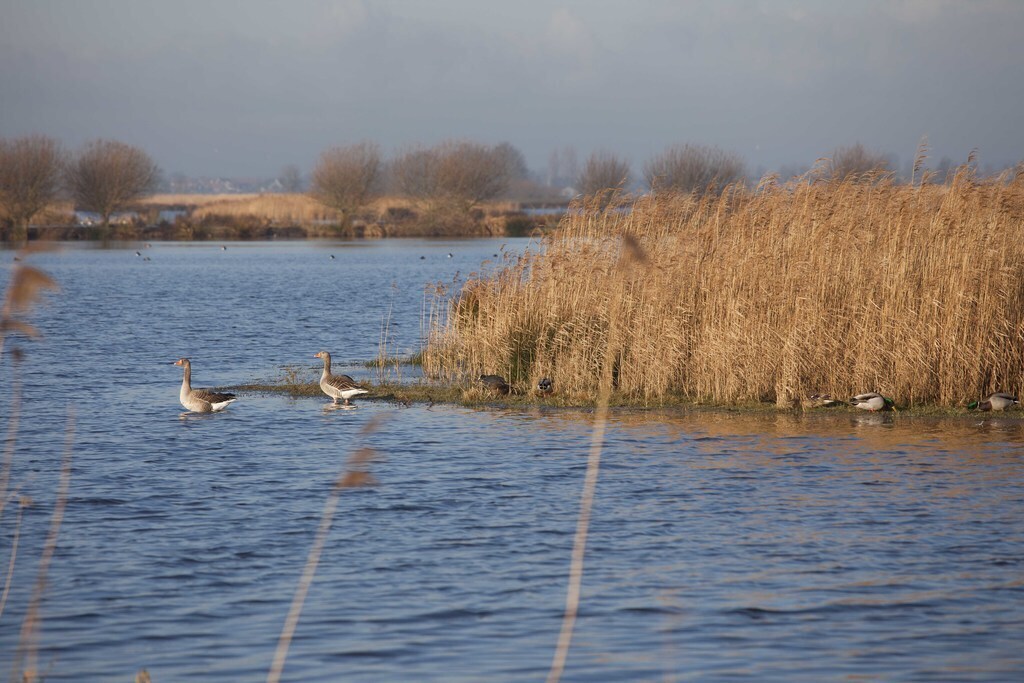 natural reserve area close to the village