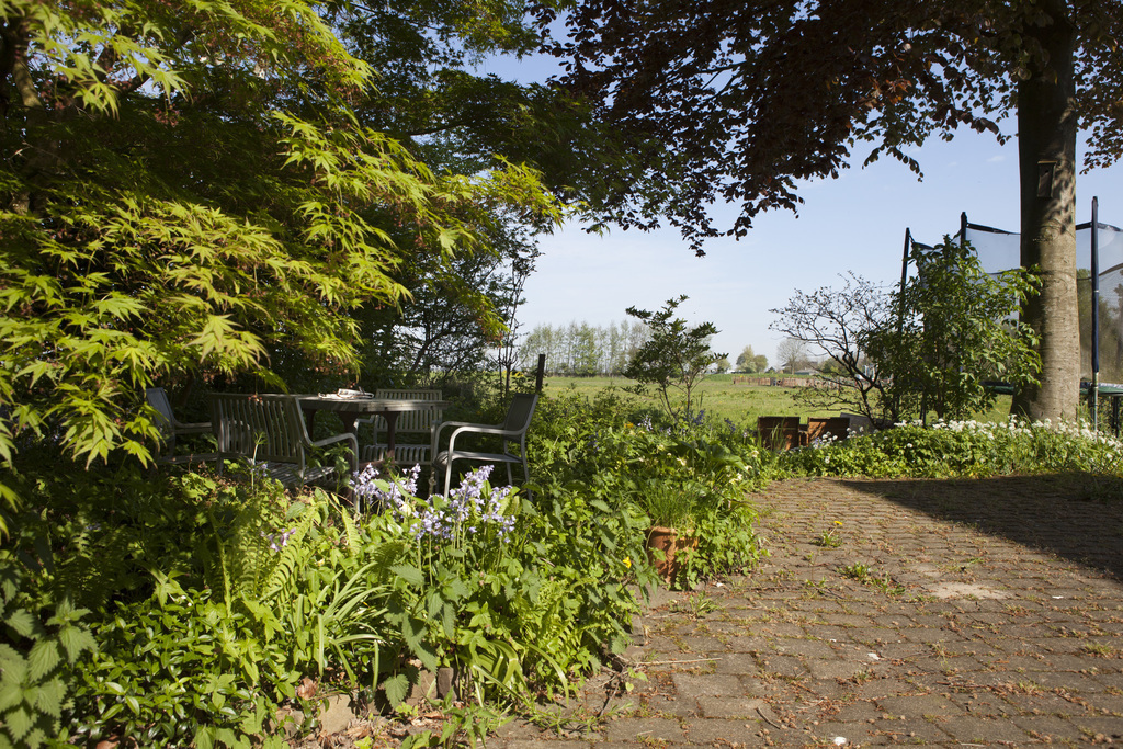 view on the terrace and garden; the trampoline is gone, now we set up the hammock instead