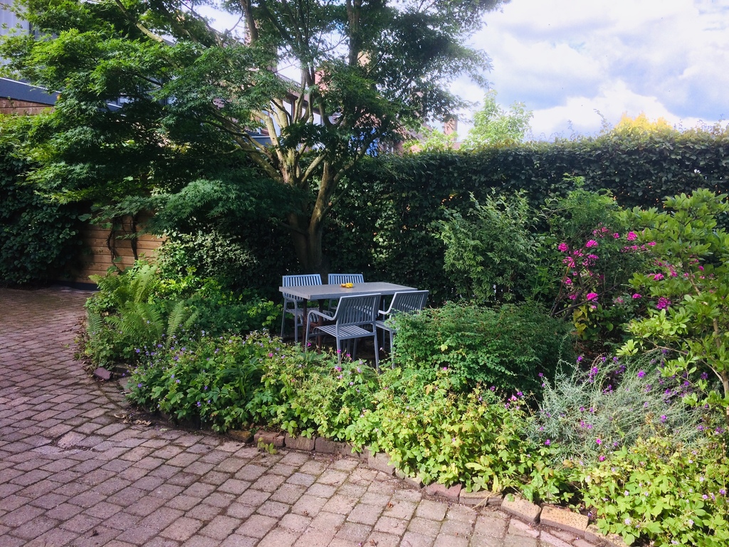 breakfast table under the Japanese tree