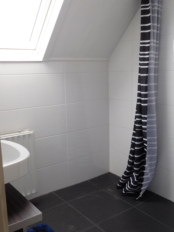 Bathroom with shower (firstfloor)