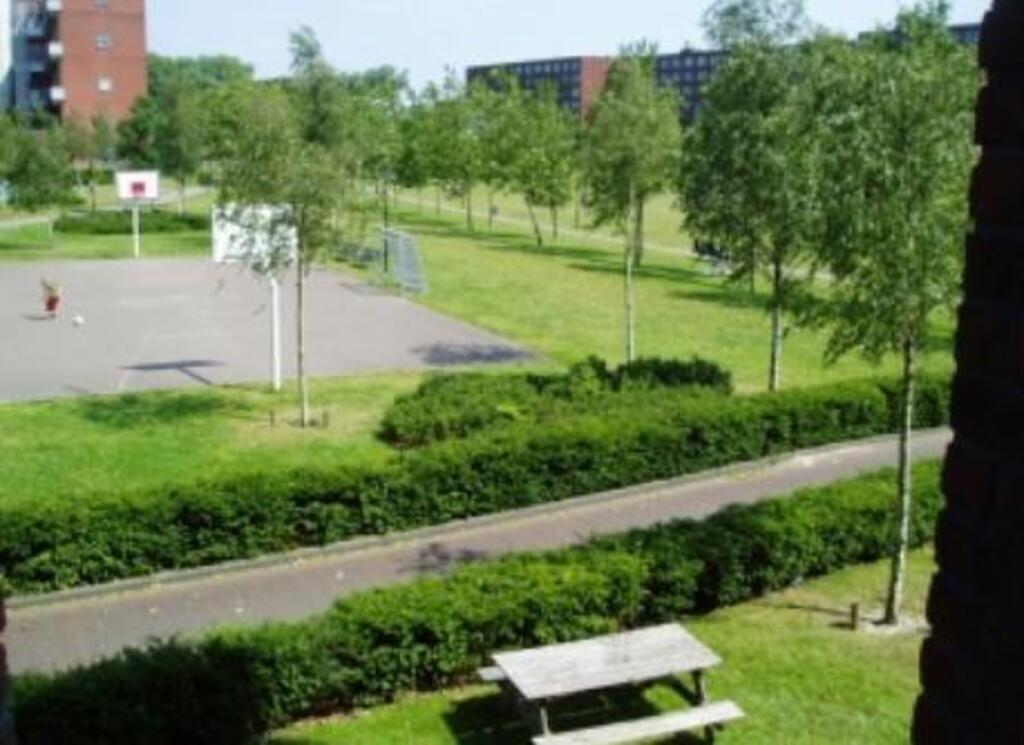 The Bogorpark right in front of our appartment