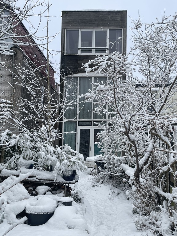 the house, garden side