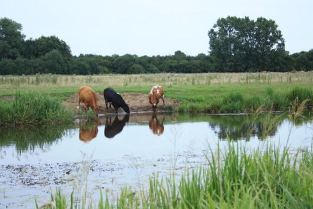 typical river landscape in the neighbourhood