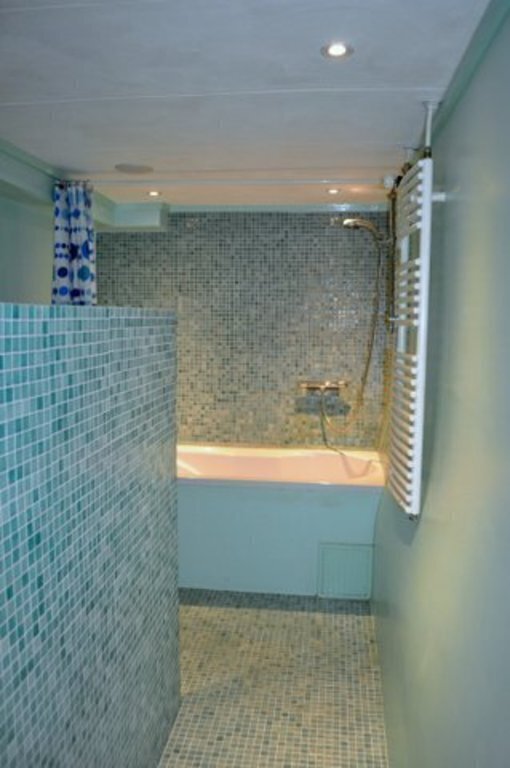 Tub and seperate shower