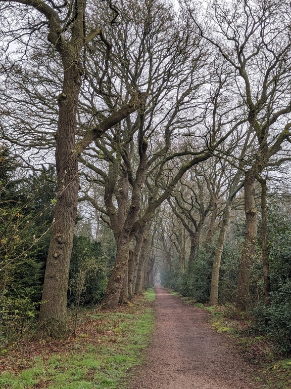 Just around the corner of our bungalow