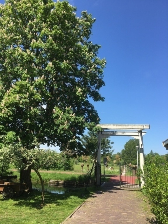 Dutch bridge at the children’s farm (400 m)