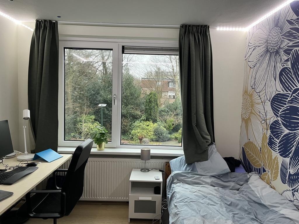 Bedroom with workspace