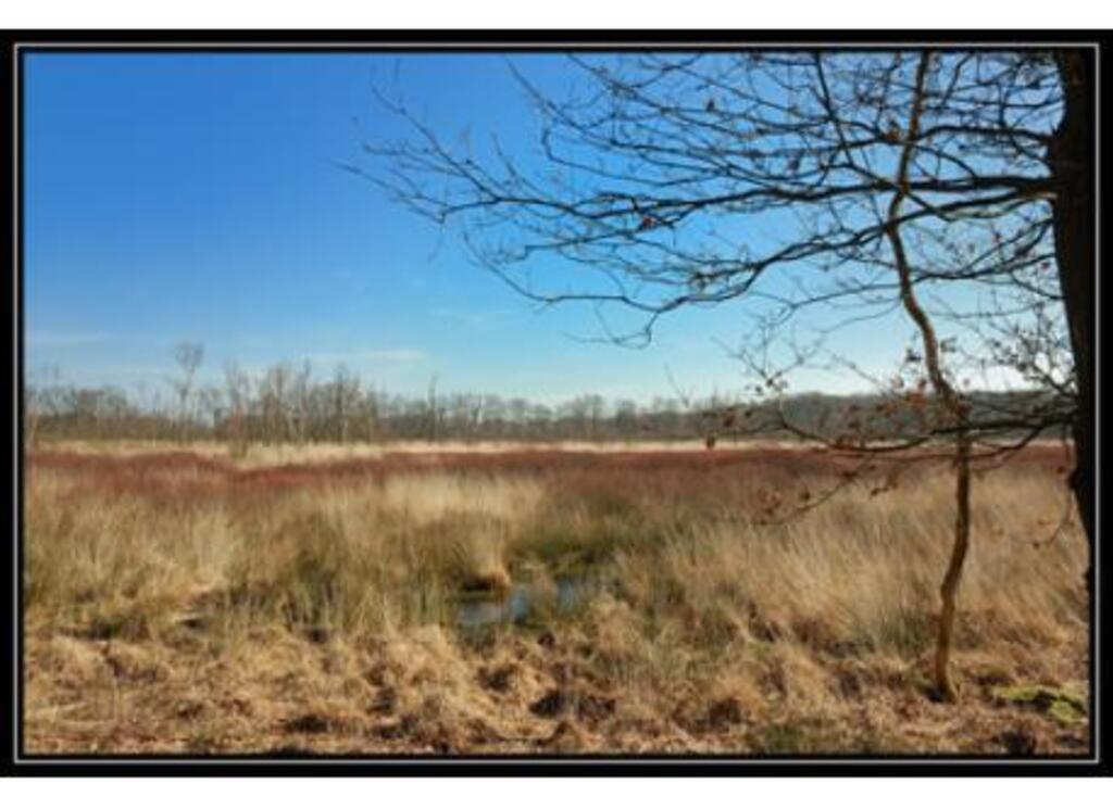 COUNTRYSIDE: Beatiful area for walking or cycling in UNESCO's Geoparc 'de Hondsrug'