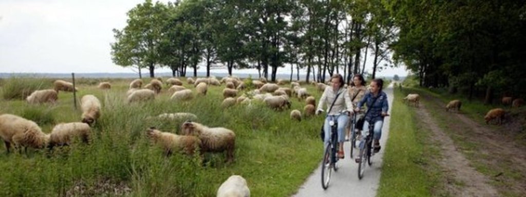 COUNTRYSIDE: Take a bike and explore the countryside