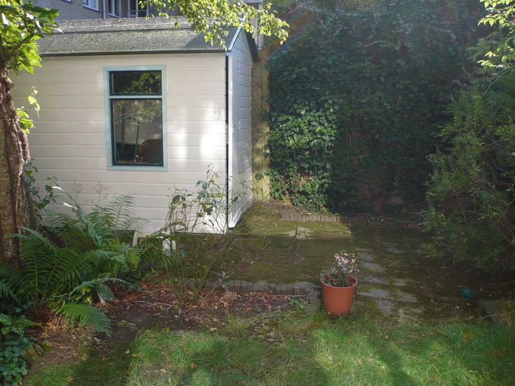 Small garden (back side)