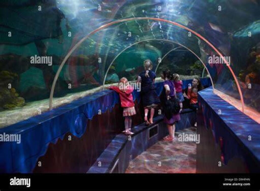 'Sea life', Scheveningen, 3 km