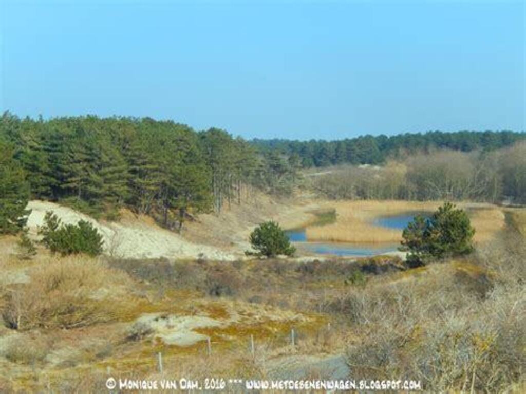 Dunes in Wassenaar, 10 km