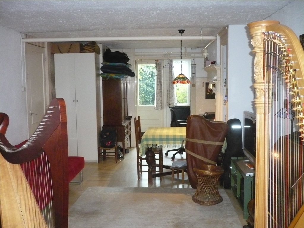 First floor (ground floor), Anke's music room