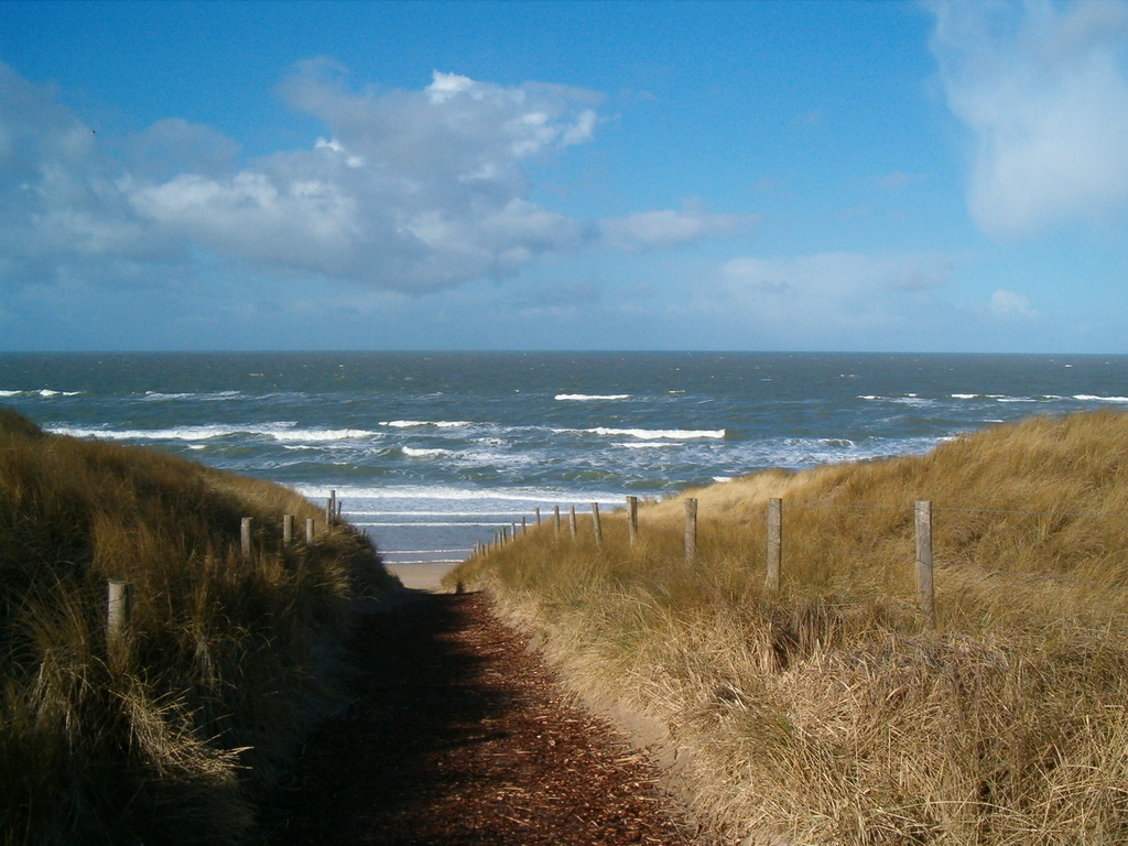 The Castricum beach