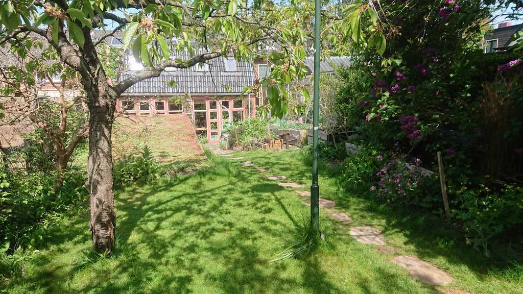 Garden with garden house (office inside)