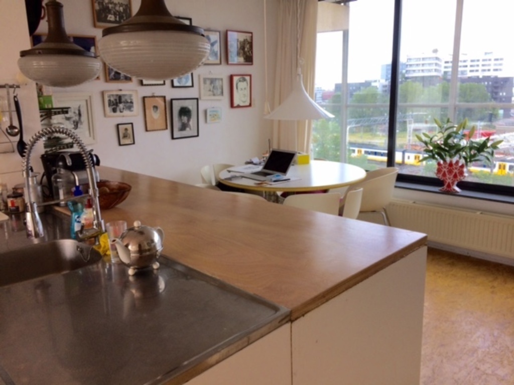 northside overlooking the IJ water, where you can see cruiseships passing