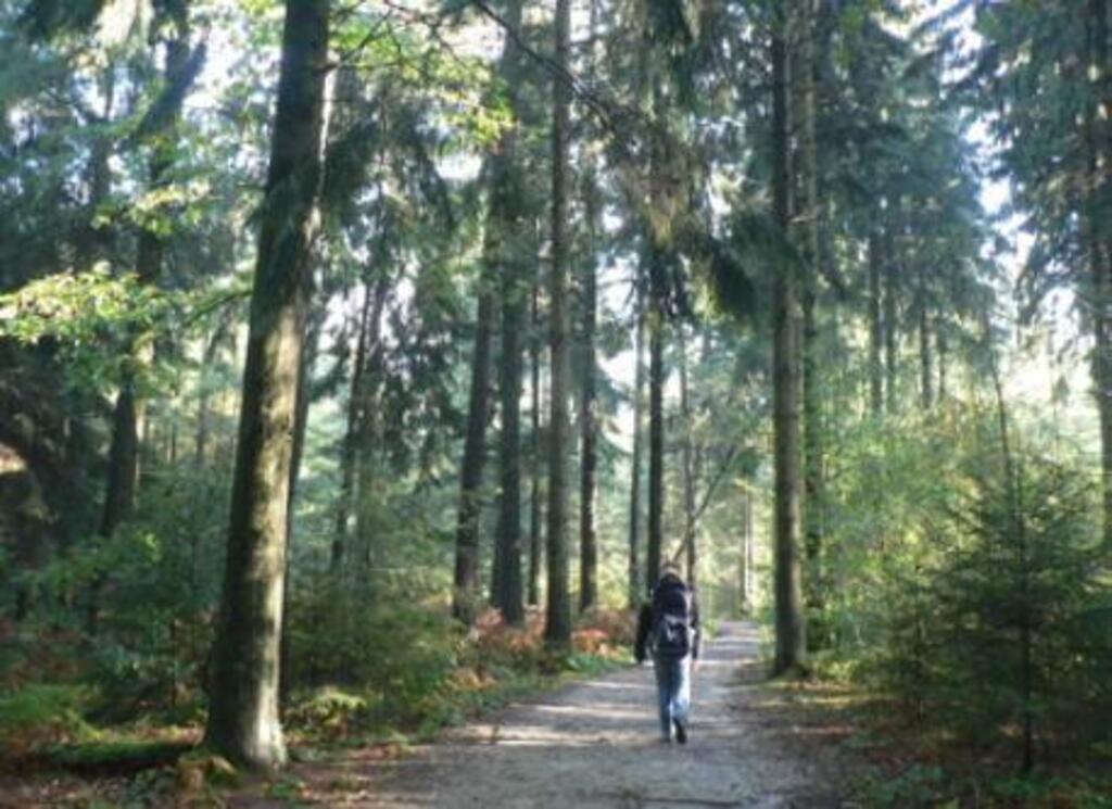 Near the triland point