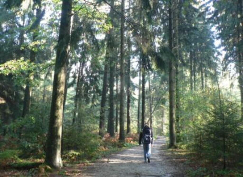 Near the triland point