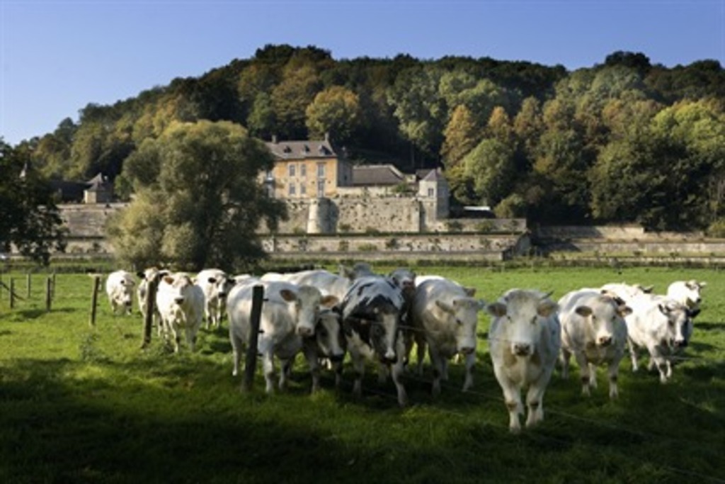 Chateau Neercanne (walking distance from our home)