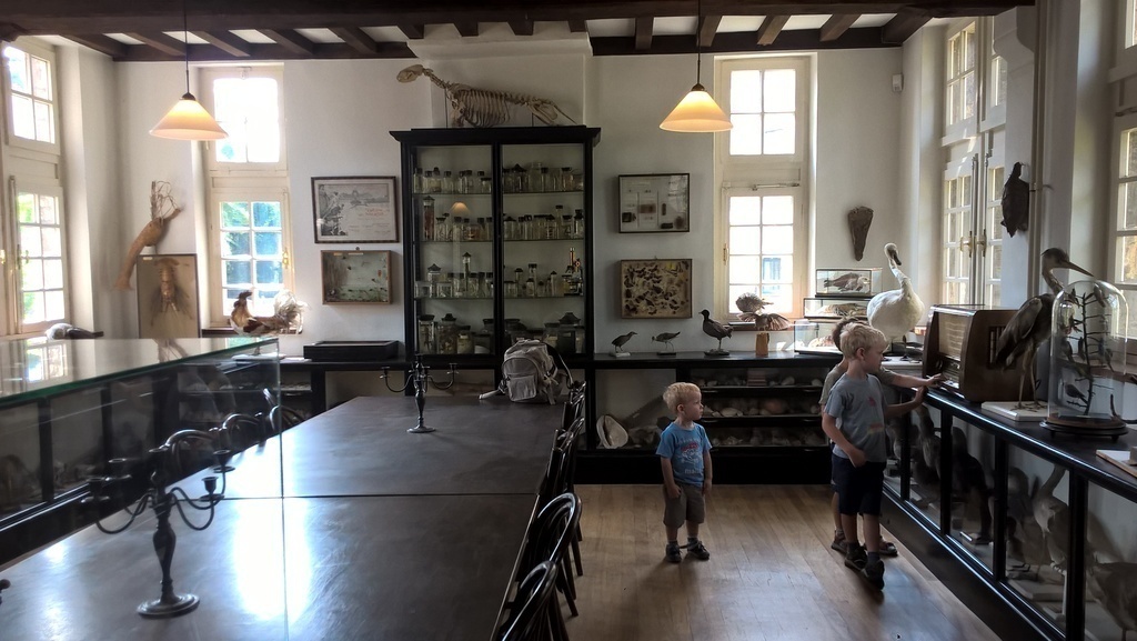 Natuurhistorisch museum in Maastricht. Hidden pearl. 
