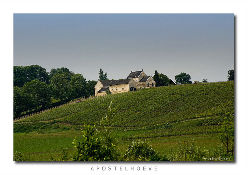 Apostelhoeve (walking distance from our home)