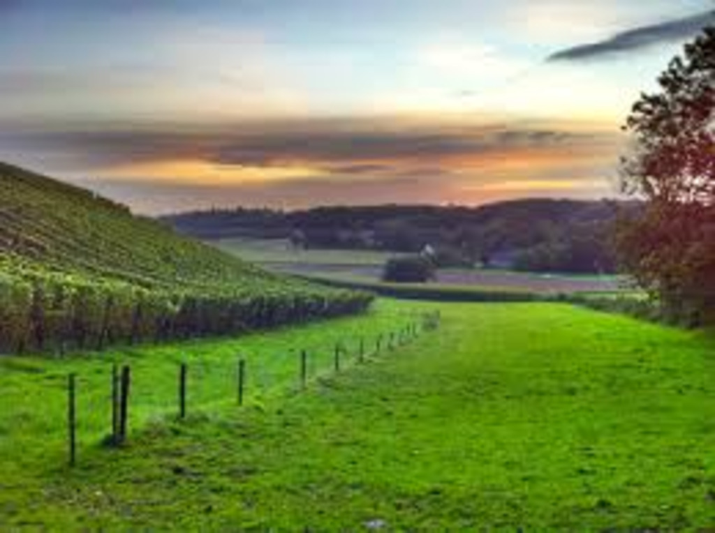 Jekerdal (walking distance from our home). I always go for a run here!