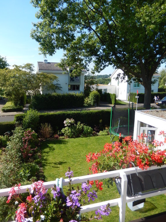 View from our balcony over our backyard