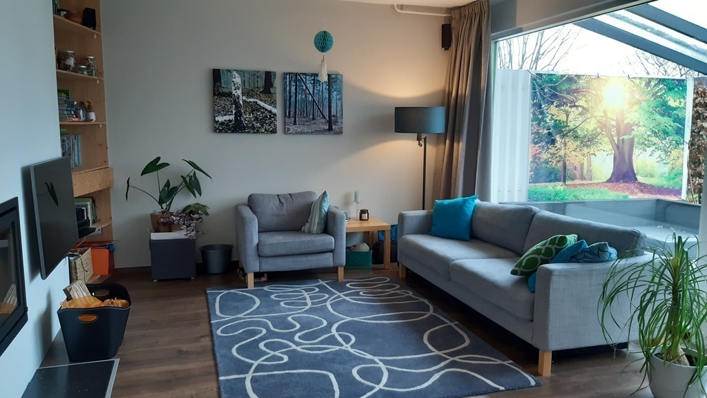 Living room with fireplace